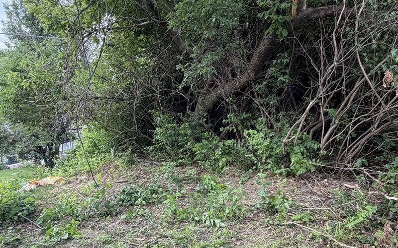 Brush line cut back along a slope with the grass left intact